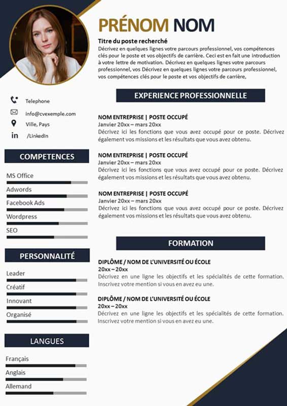 Exemple Cv Professionnel 2024 Free Word Template