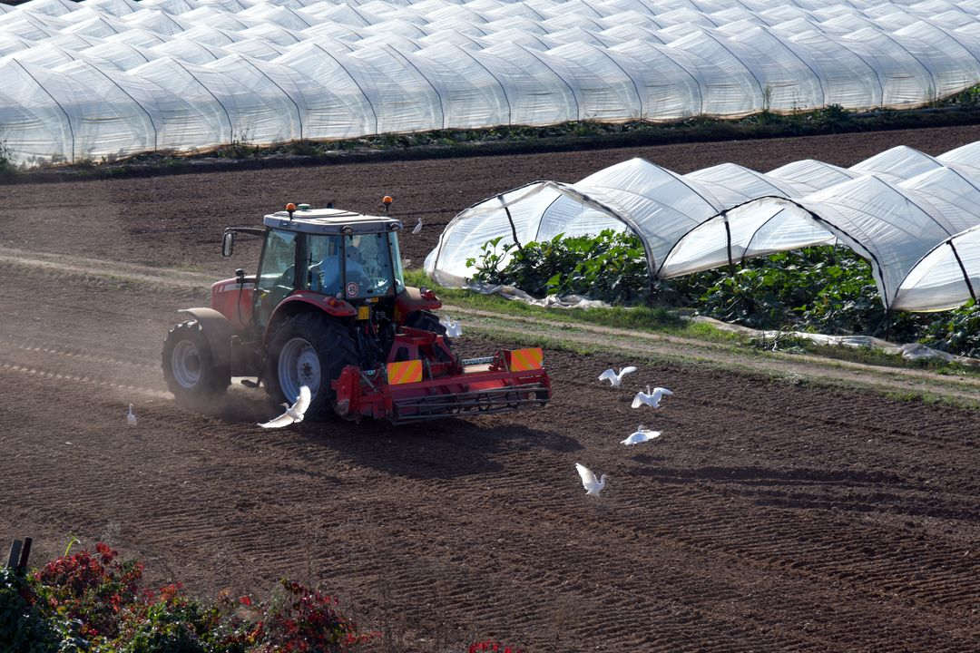 photo-agricole