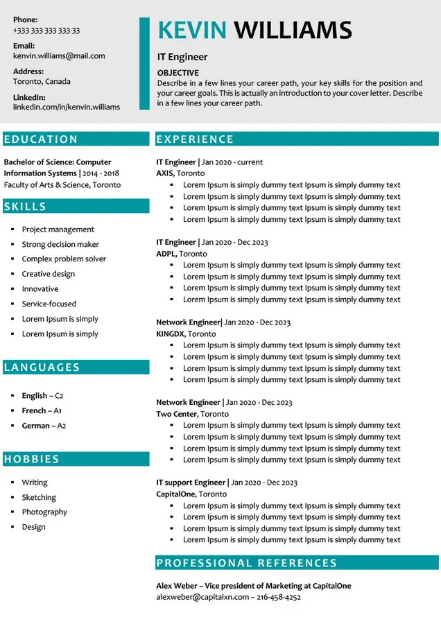 CV anglais sans photo Word