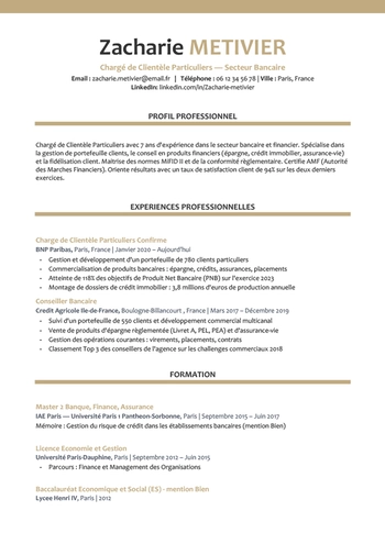 Modèle de CV ATS Sans Photo