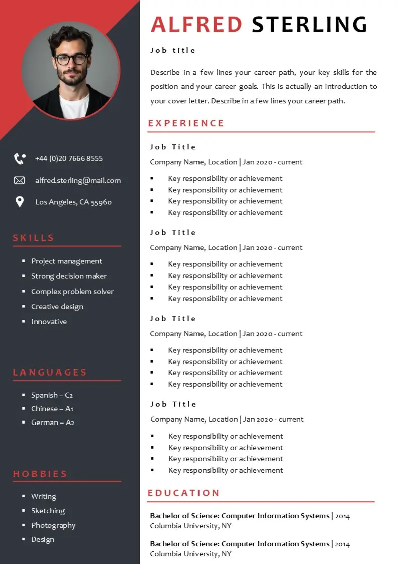 Modèle de CV en Anglais Parfait