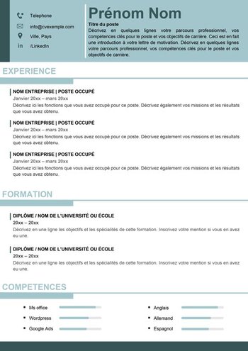 Curriculum Vitae Sans Photo