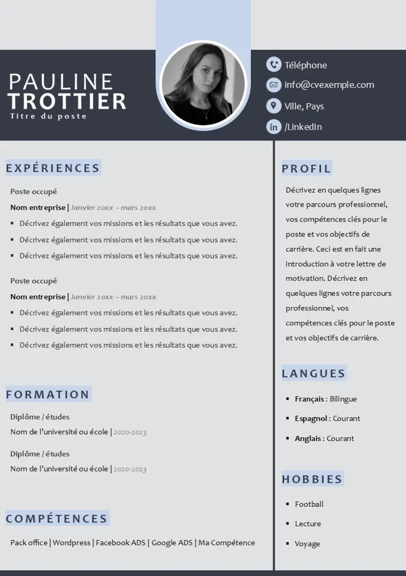 cv-social-gratuit modèle de cv social