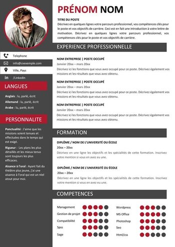 Exemple de CV fonctionnel