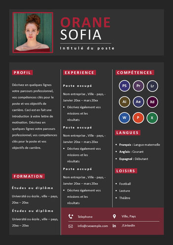 CV Infographiste Gratuit Word