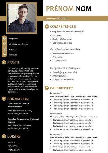 cv_par_competences