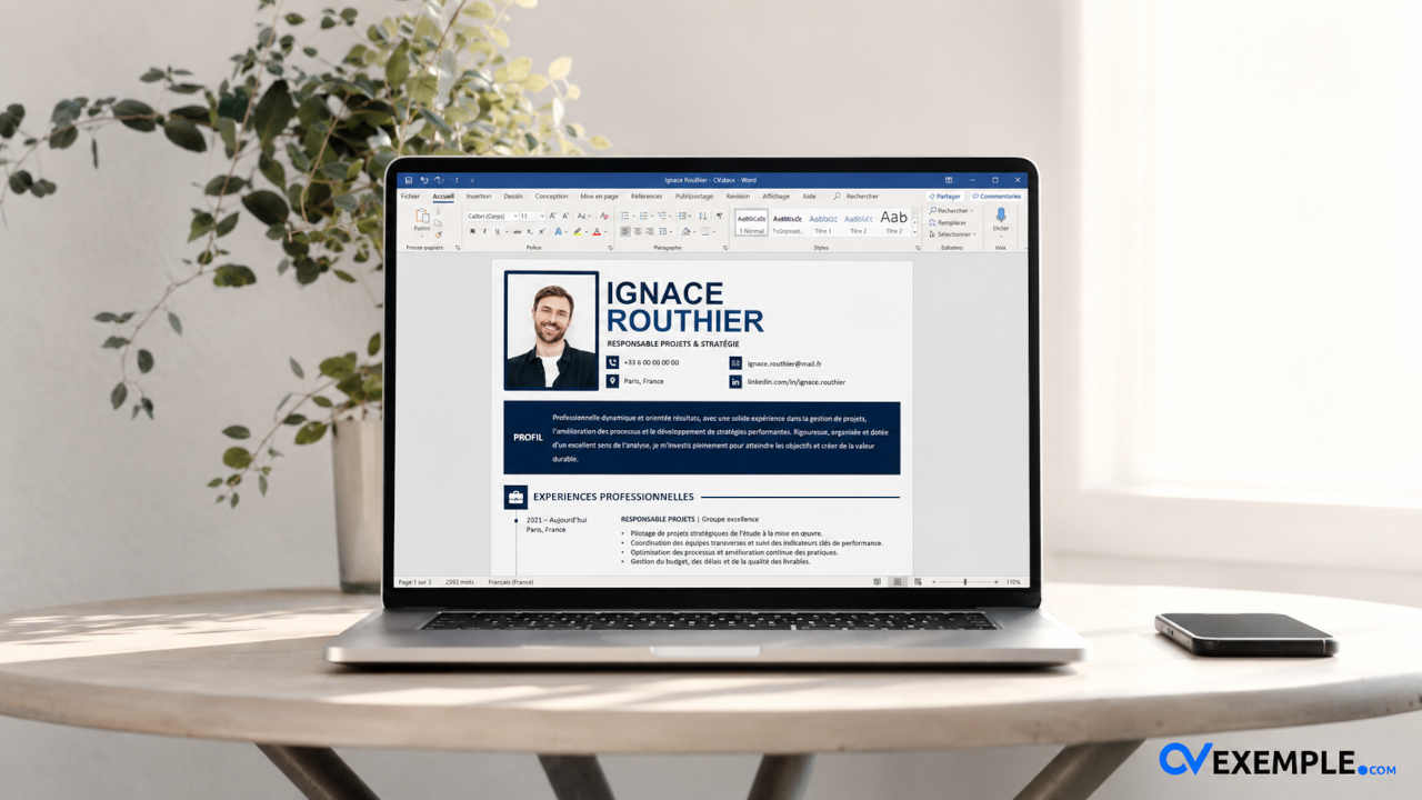faire un cv parfait