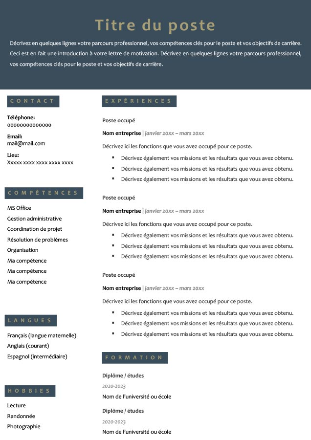 Modèle de CV anonyme Gratuit Word