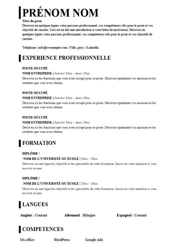 Modèle de CV Basique au format Word