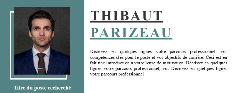 times-new-roman-cv